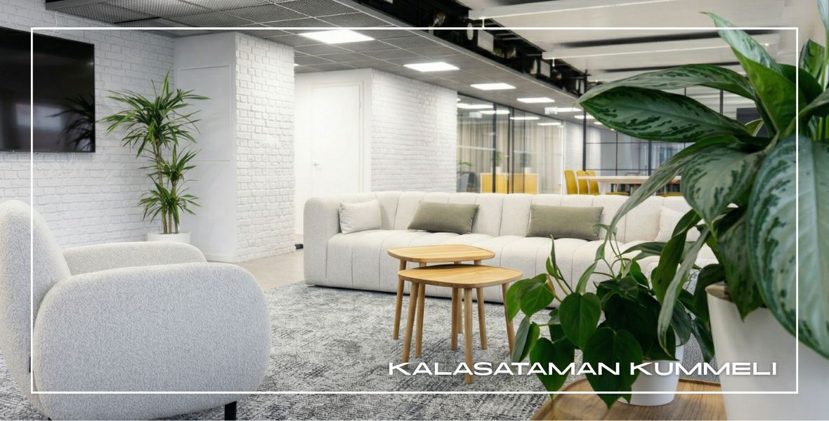 Kalasataman Kummeli näyttää, miten vuokrattavuus ja kiertotalous kulkevat käsi kädessä